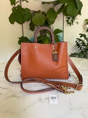 Coach Rogue Bag 31 Colorblock Pebble Leather Suede C8012 Brass Burnished Amber